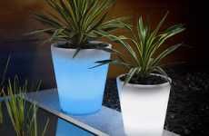 Radiant Plant Pots