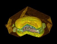 Transparentography Image 3
