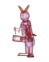 Transparentography Image 7