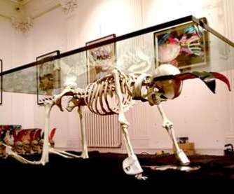 24 Macabre Home Decor Options