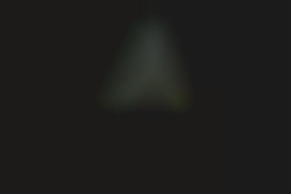 Targeted Laser Flashlights