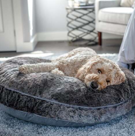 High-Quality Supportive Dog Beds