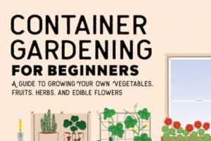 Beginner Container Gardening Guides