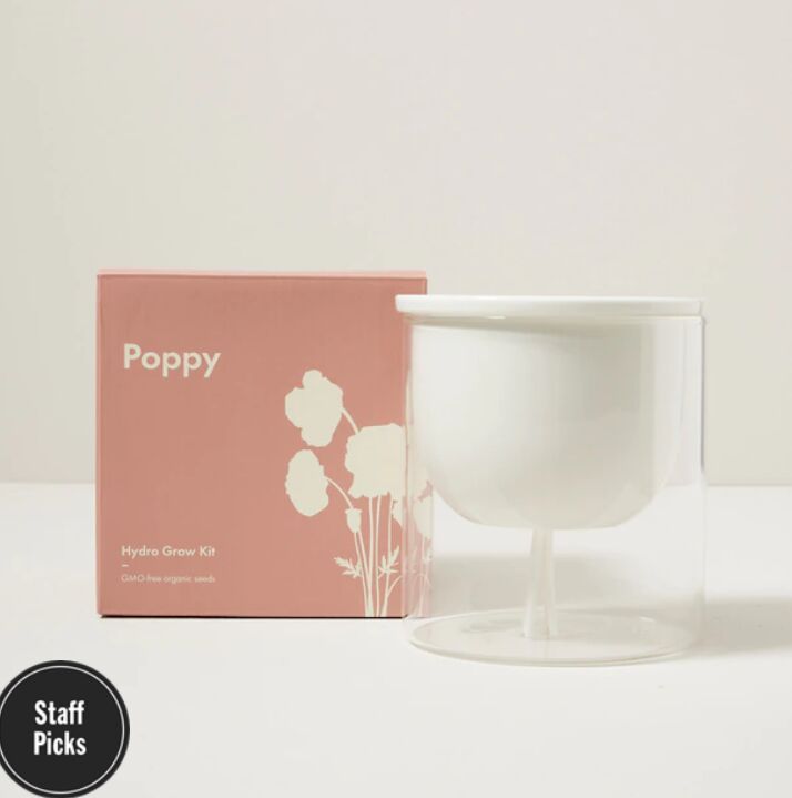 Self-Watering Flower Growing Kits