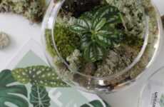 Virtual Plant Workshops