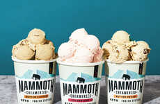 Diabetic-Conscious Frozen Desserts