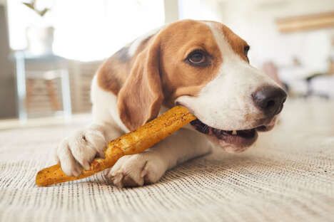 Highly Digestible Dog Chews