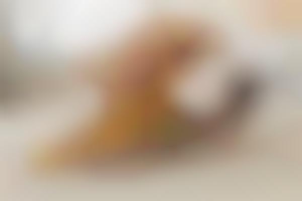Highly Digestible Dog Chews