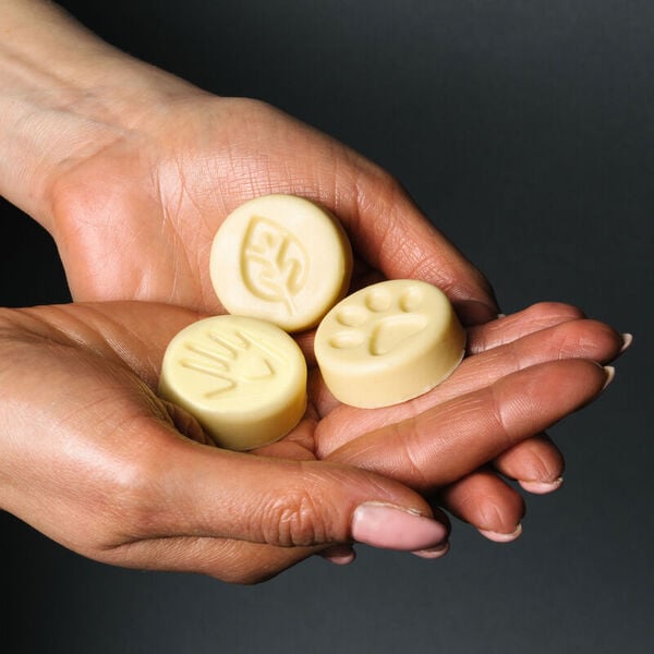 10 Charitable Business Endeavors