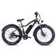 Off-Road Electric Bikes Image 4