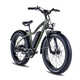 Off-Road Electric Bikes Image 5