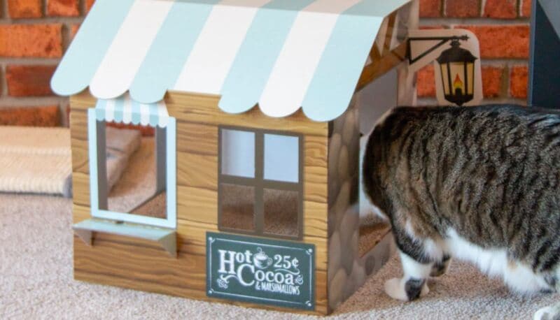 Subscription-Based Cat Homes