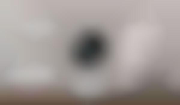 Voice Assistant Security Cameras