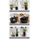Plant Growth-Optimizing Planters Image 2