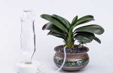 Self-Watering Houseplant Systems