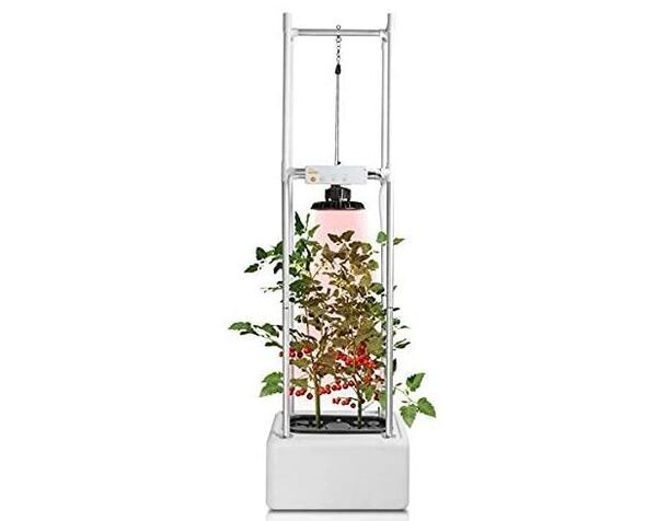 Connected Climbing Plant Gardens Image 2