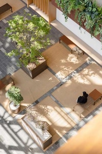 Plant-Filled Shopping Malls Image 3