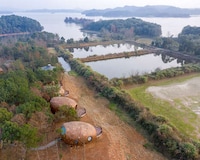 Immersive Seed-Shaped Cabins Image 4