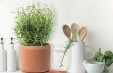 Propagation-Friendly Planters