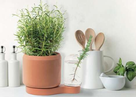 Propagation-Friendly Planters