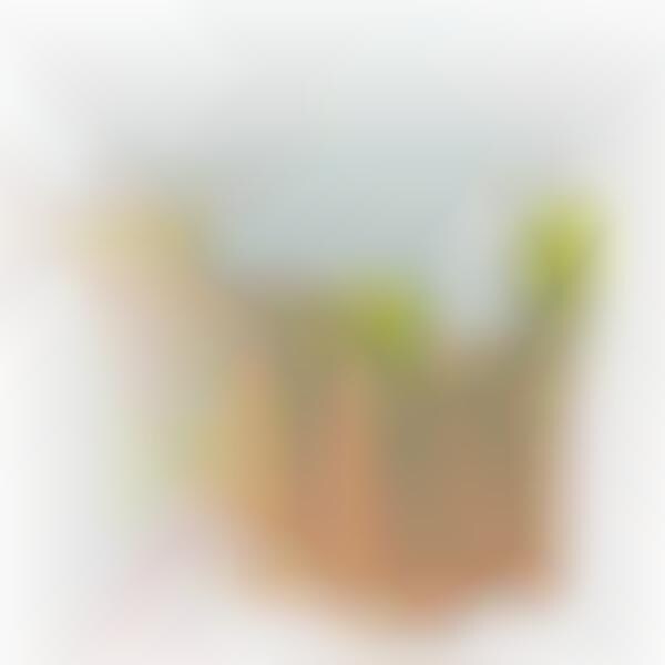 Instant Superfood Celery Juices