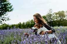 Natural Animal Care Products