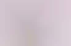 Vegan Collagen Serums