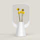 Decorative Virtual Plant Vases Image 3