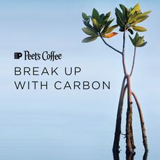 Carbon-Neutral Coffee Subscriptions Article Thubnail