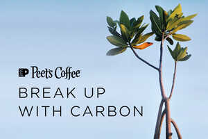 Carbon-Neutral Coffee Subscriptions Article Thubnail