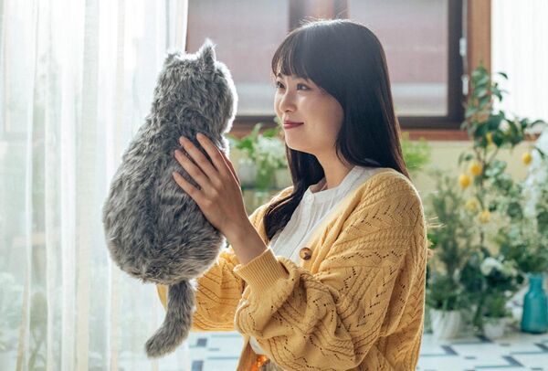 Realistic Sleeping Cat Cushions