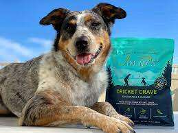Cricket-Based Dog Foods