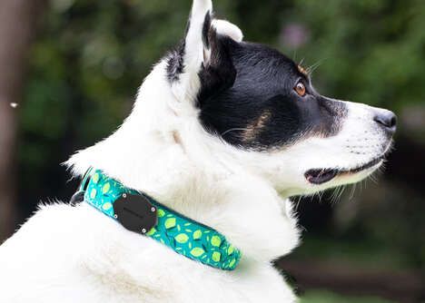 Aftermarket Tracker Pet Collars