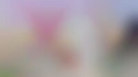 Seltzer-Branded Vacation Giveaways Image 1