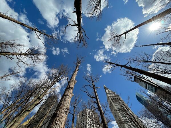 Top 100 Eco Trends in June