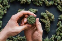 Streamlined Online Cannabis Orders Image 3