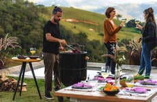 Four-in-One Backyard Grills