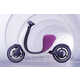 Personal Electric Mobility Vehicles Image 5