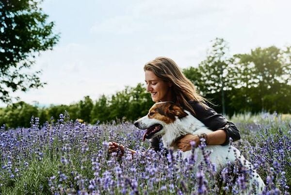 15 Elevated Lavender Products