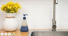 Zero-Waste Cleaning Product Expansions Article Thubnail