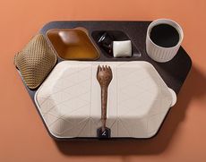 Eco-Friendly Airplane Meal Trays Article Thubnail