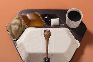 Eco-Friendly Airplane Meal Trays Article Thubnail