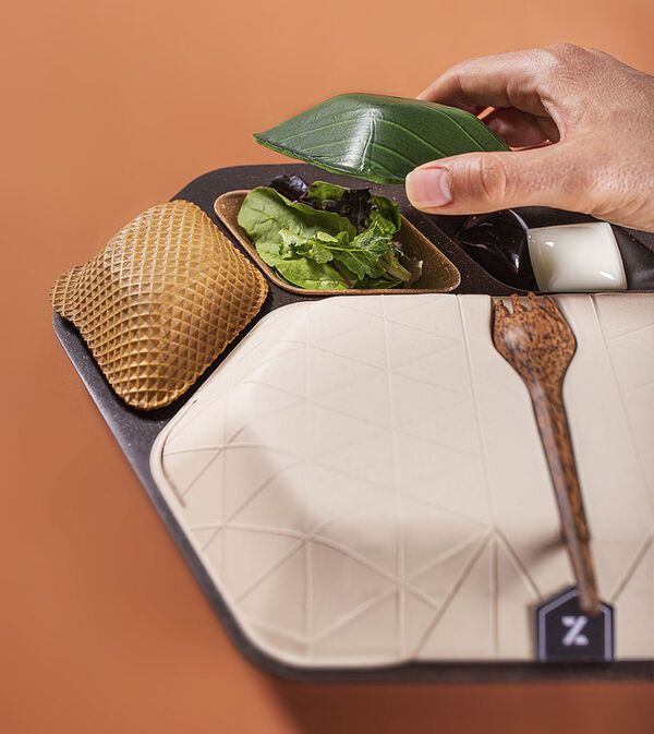 Eco-Friendly Airplane Meal Trays : Zero Eco Meal Tray Concept