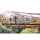 Robot-Built Suspension Bridges Image 6
