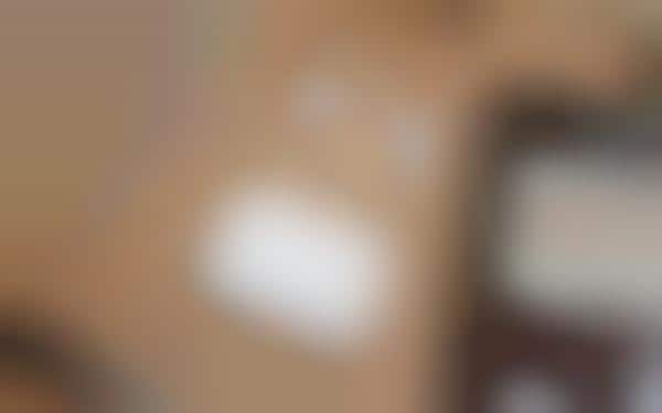 Hearing Support Earbud Updates