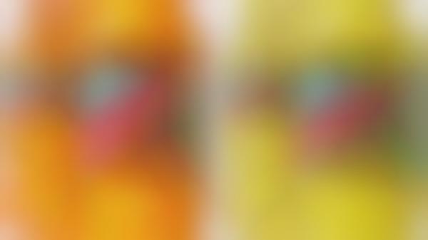 Tropically Flavored Citrus Sodas