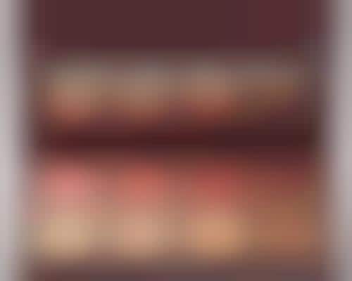 Versatile Skin Tone Palettes