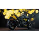 Stealthy Special Edition Motorcycles Image 1