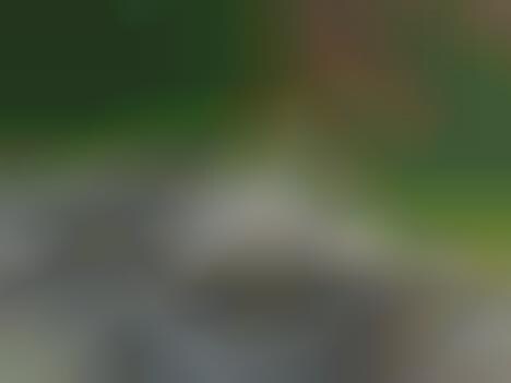 Auditory Avian Observation Devices