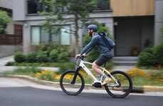 Capable Cost-Friendly eBikes